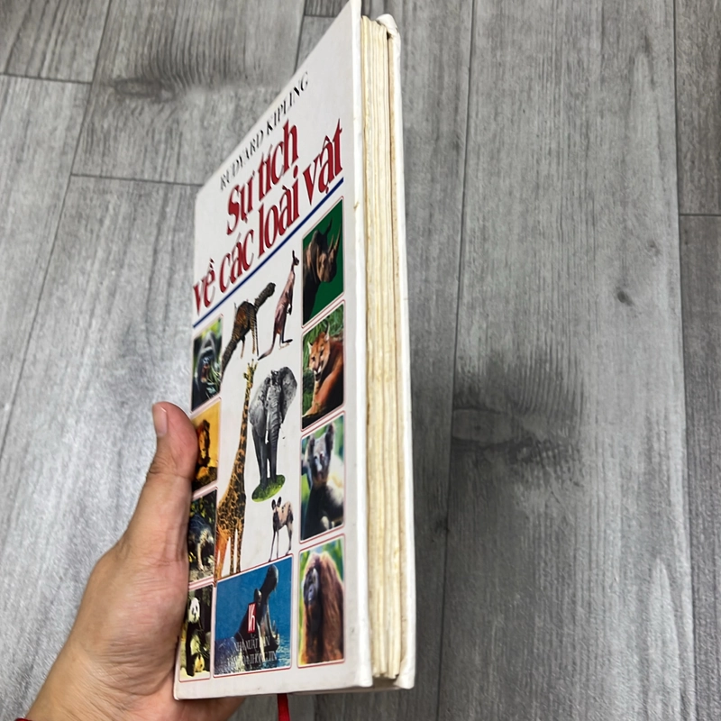 Dự tích về các loài vật. 1b3 539838