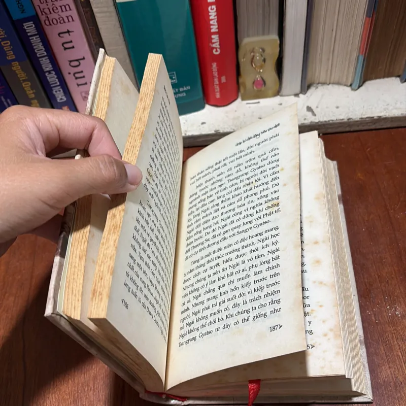 [Bìa Cứng] - II Sách Phật Giáo: Gặp Lại Chốn Hồng Trần Sâu Nhất - Bạch Hạc Mai - 2014 795571