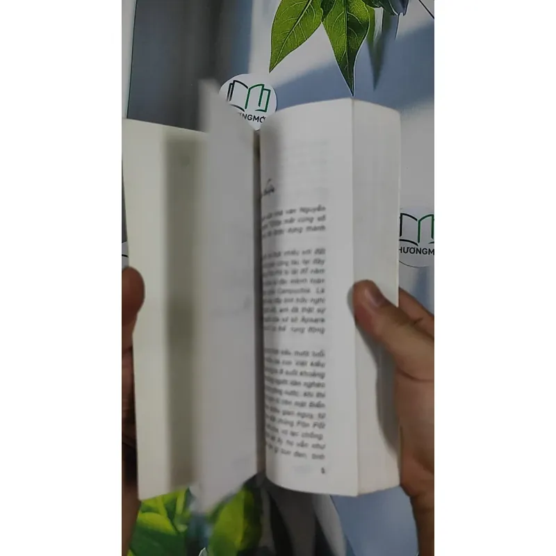 Chú Tư Con Là Ai - Thăng Sắc 798465