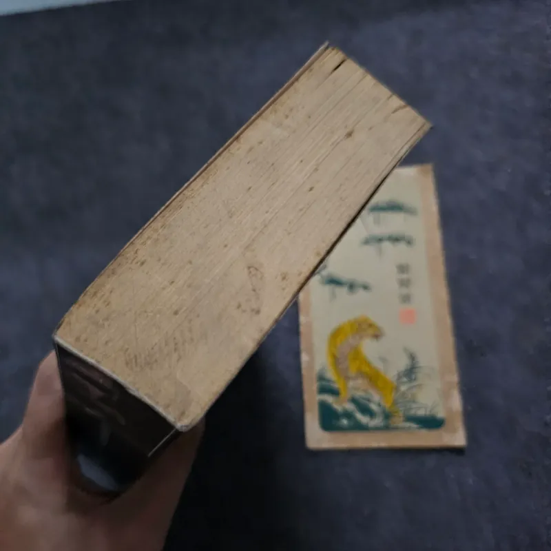 The man in the iron mask - Alexandre Dumas 747354