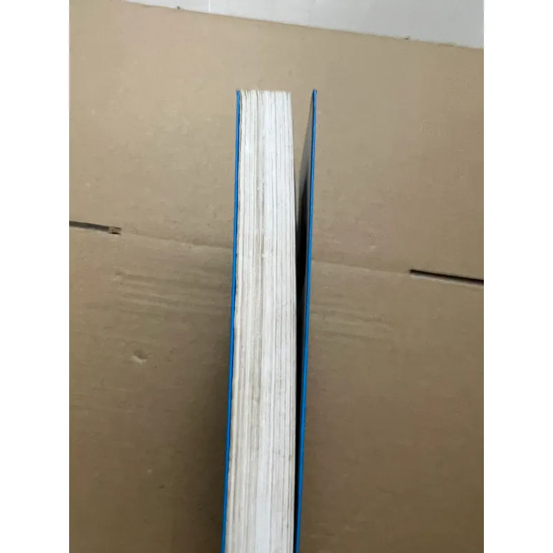 Điểm bùng phát 569213