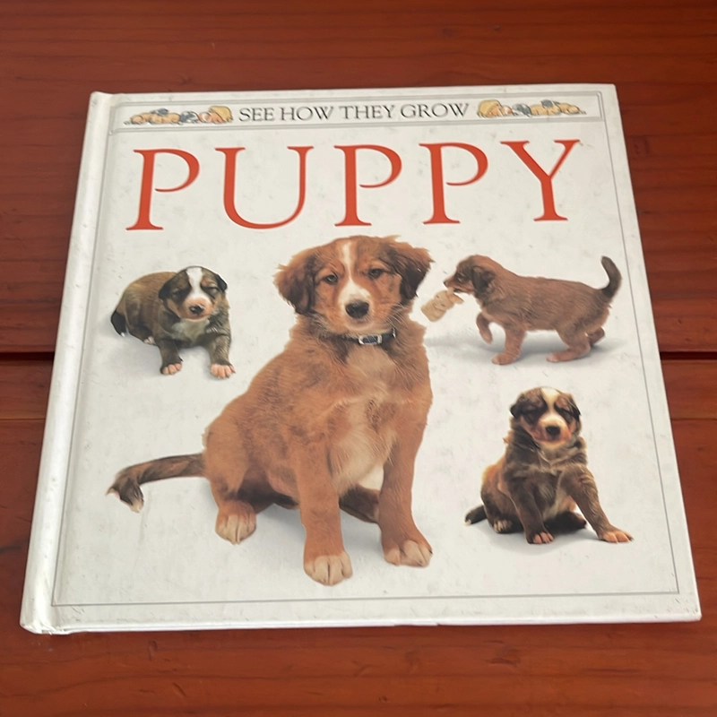 PICTURE BOOK Puppy 536725