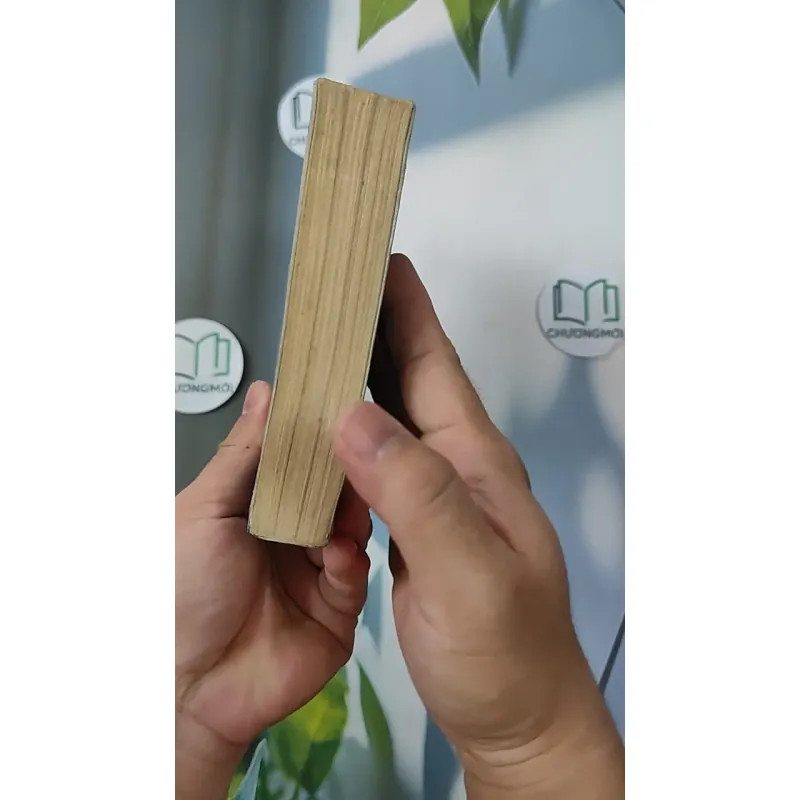 Tôi Thấy Hoa Vàng Trên Cỏ Xanh - Nguyễn Nhật Ánh 798349