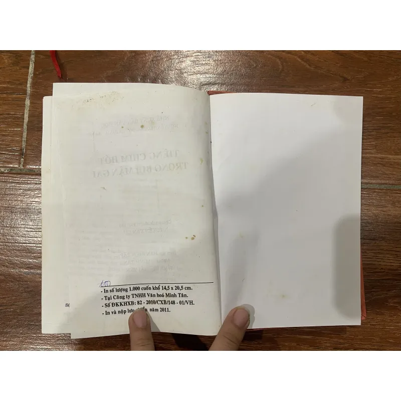 Tiếng chim hót trong bụi mận gai (14) 762301