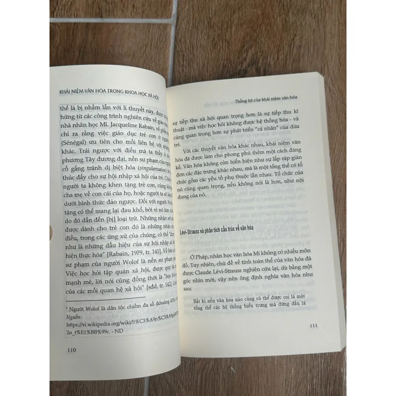 Khái Niệm Văn Hoá Trong Khoa Học Xã Hội (NXB Tri Thức) - Denys Cuche ,  Lê Minh Tiến dịch 731609