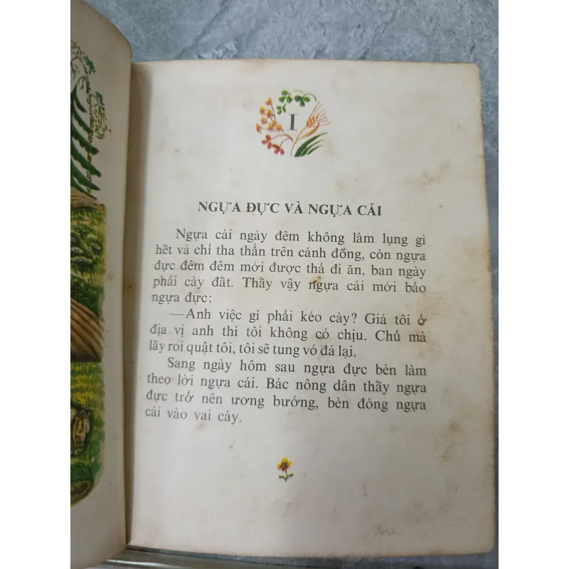 KIẾN VÀ CHIM BỒ CÂU 571353