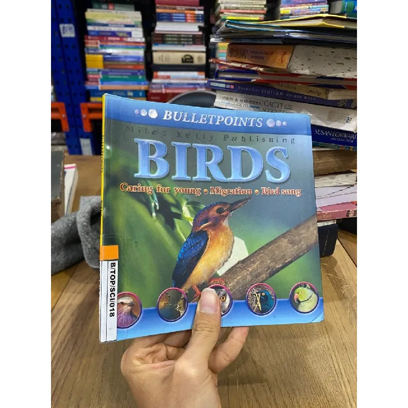 Bulletpoints about Animals 563589