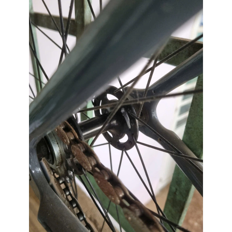 xe fixed gear 547936