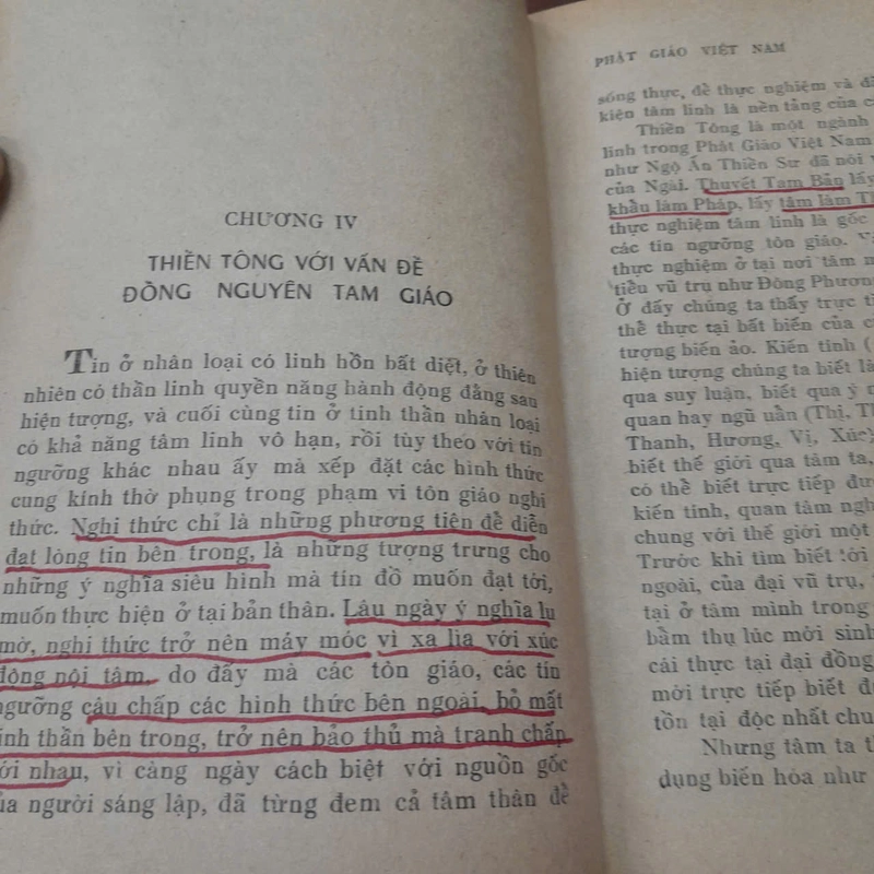 PHẬT GIÁO VIỆT NAM - NGUYỄN ĐĂNG THỤC 539763