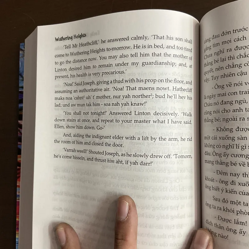 [SONG NGỮ ANH- VIỆT] ĐỈNH GIÓ HÚ - Emily Bronte 717042