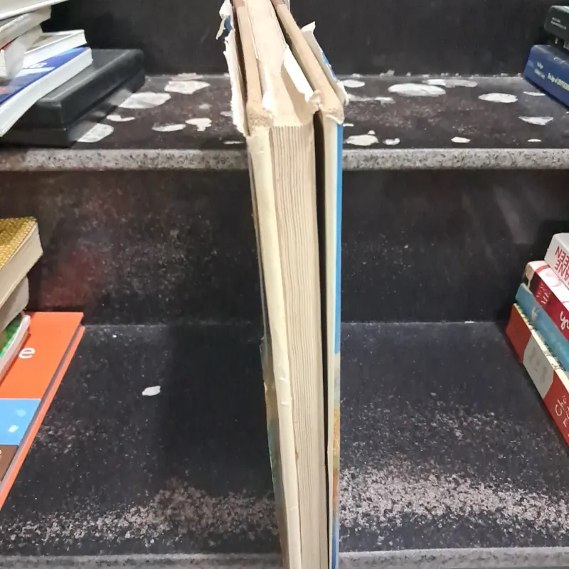 Levitan - Aurora  1009400