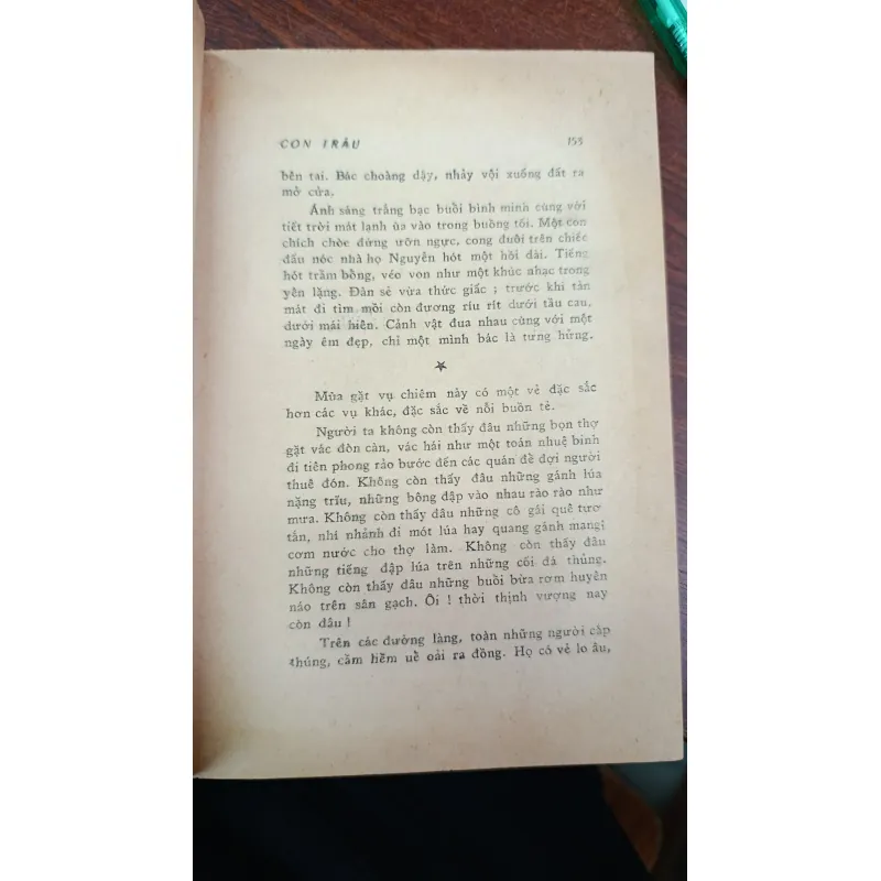 CON TRÂU - TRẦN TIÊU 704135