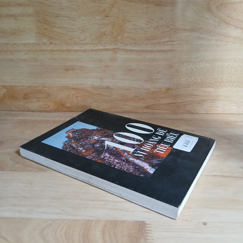 100 Vị Hoàng Đế Tiêu Biểu - Trung Phương biên dịch 418920