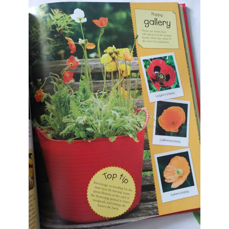 Ready, Steady, Grow! Quick and Easy Gardening Projects 1002061