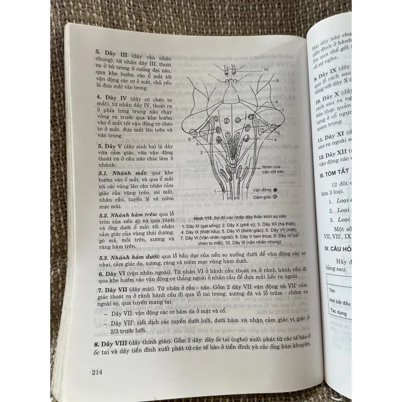 Giải phẫu sinh lý à sách y, khổ lớn; 314 trang  1025091