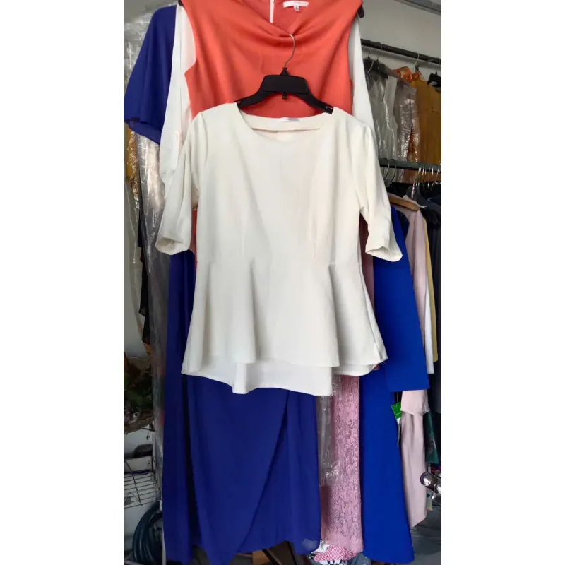 Áo kiểu V1 100 giá 30k 1025543