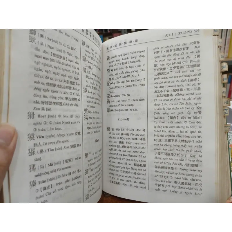 TỰ ĐIỂN HÁN VIỆT - HÁN NGỮ CỔ ĐẠI VÀ HIỆN ĐẠI (BÌA CỨNG) - TRẦN VĂN CHÁNH 1025242