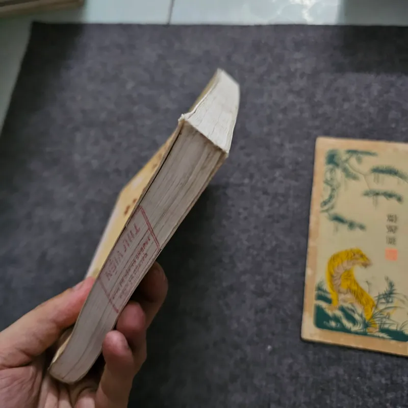 Thần người và đất việt - tạ chí đại trường 745506