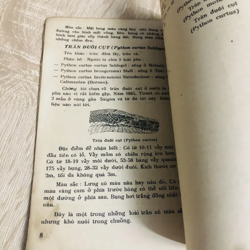 NUÔI TRĂN , nxb: 1987 956911