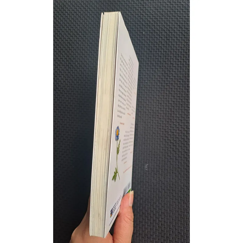 Nếu biết trăm năm là hữu hạn -  Phạm Lữ Ân  728836