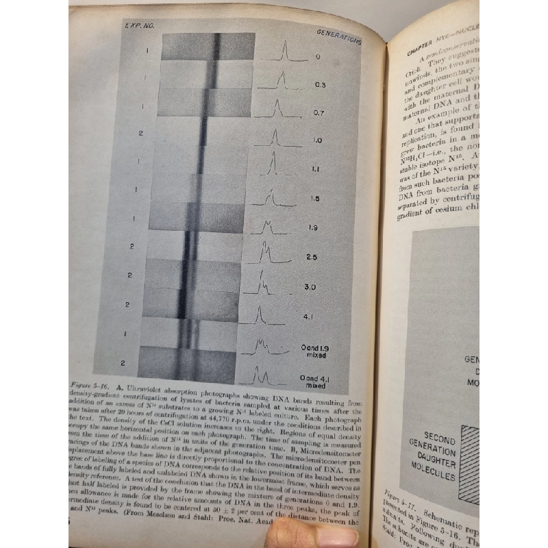 TEXTBOOK OF BIOCHEMISTRY - Harrow and Mazur 198576