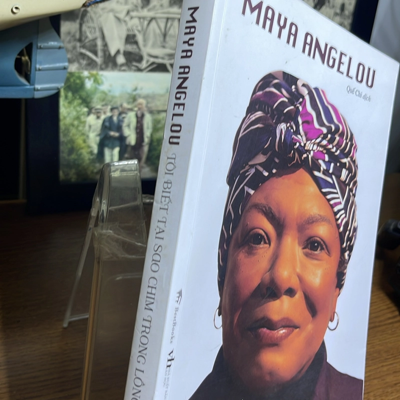 Tôi biết tại sao chim trong lồng vẫn hót Maya Angelou 494962