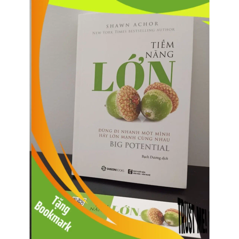 (TẶNG BOOKMARK) Tiềm Năng Lớn Shawn Achor New 95% RBK.ASB2302 953675
