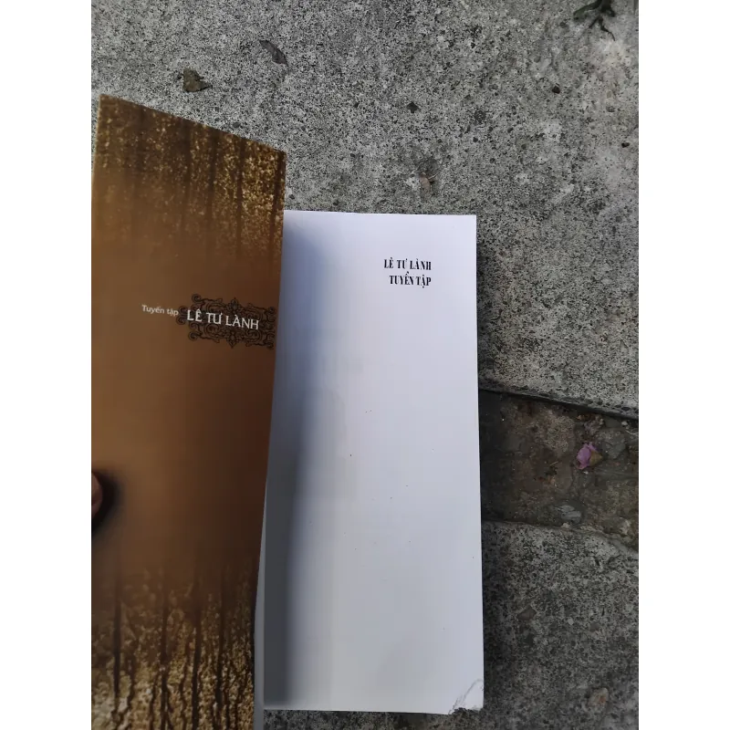 Tuyển tập Lê Tư Lành  1032106