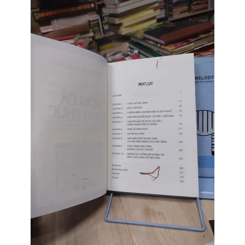 Sách: Hơn cả hạnh phúc - TG: Antonia Macaro (B1) 781893