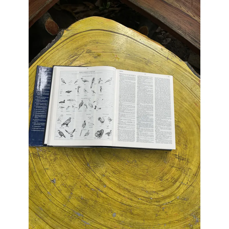 OXFORD ADVANCED LEARNER’S ENCYCLOPEDIC DICTIONARY  603317