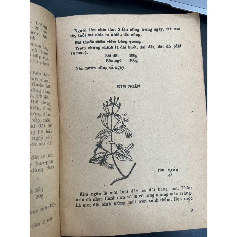 Cây thuốc gia đình - Đỗ Huy Bích 936452