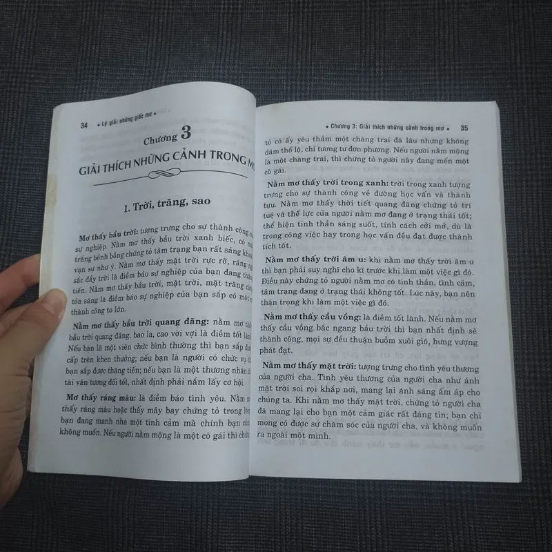 Lý giải những Giấc mơ - Ngô Nguyên Tông - Nguyễn Đặng Thùy An (biên dịch) 682154