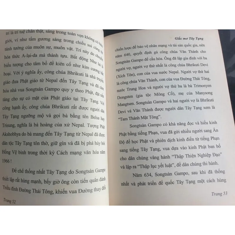 Giấc mơ Tây Tạng - Thích Thái Hòa cuốn sách về văn hóa và lịch sử 694115