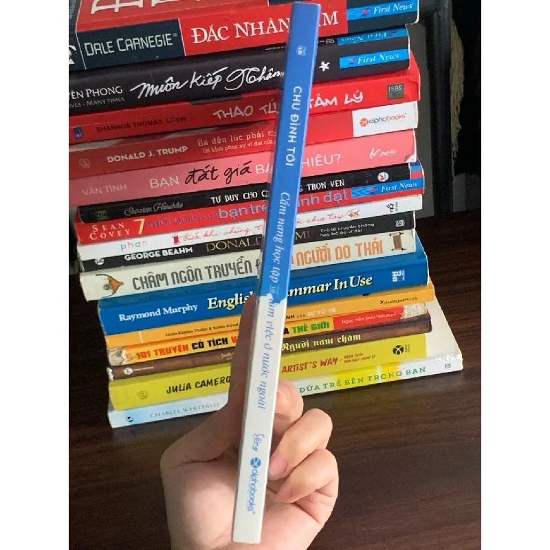 Cẩm nang học tập và học tập ở nước ngoài – Chu Đình Tới 561433