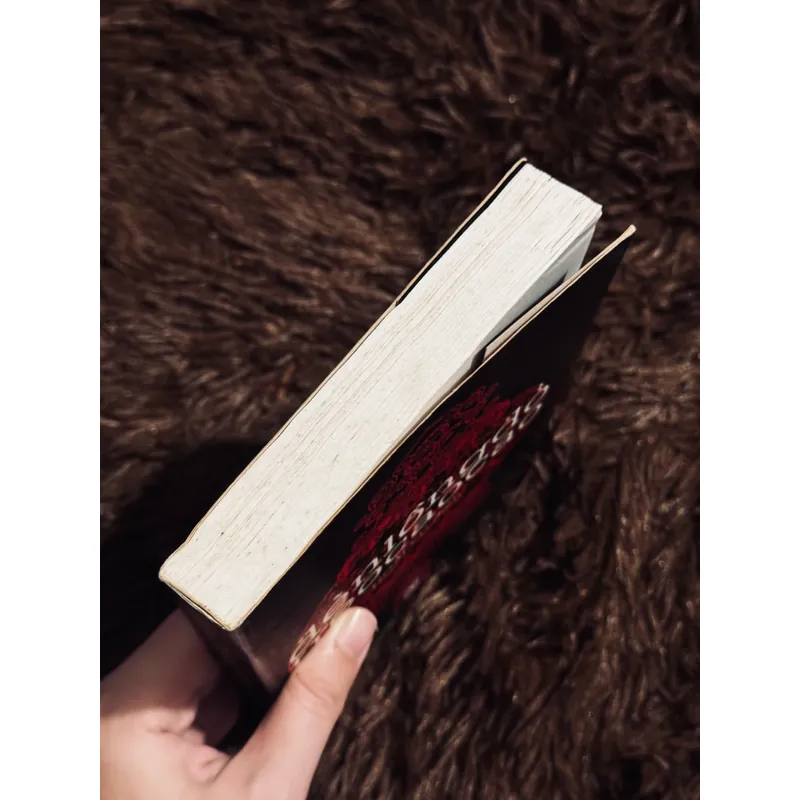 Đèn lồng đỏ treo cao cao 735250