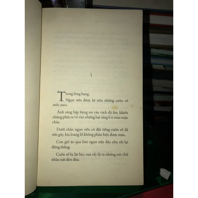 Vào cõi - Nguyễn Bình Phương  1018611