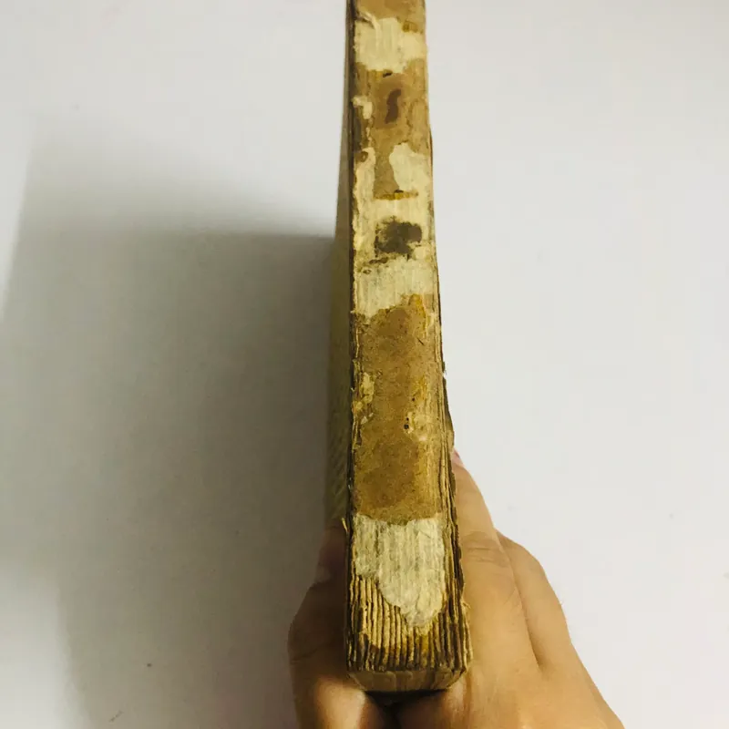 ✨ CUỘC PHIÊU LƯU KỲ LẠ CỦA KARIK VÀ VALIA ✨ 565410