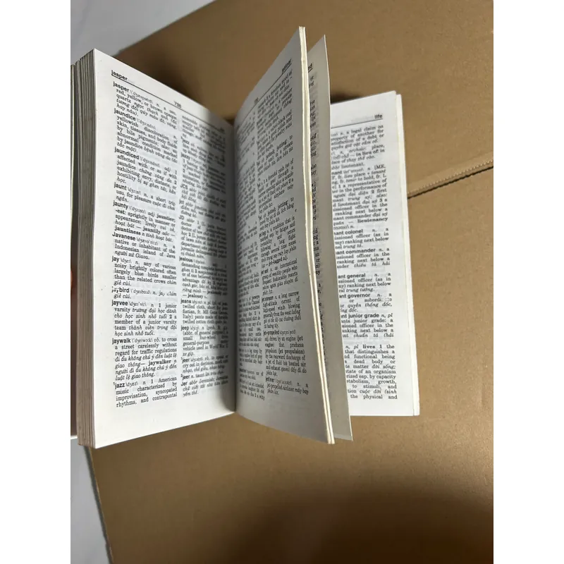 Từ điển Anh - Anh - Việt 596419