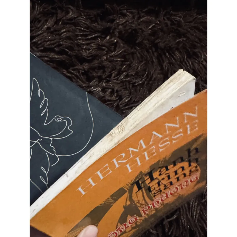 Combo Herman Hesse 996749