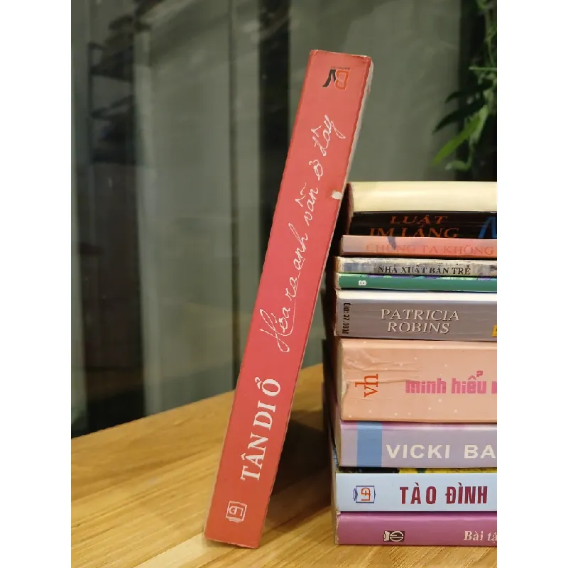 Hóa ra anh vẫn ở đây – Tân Di Ổ 553588