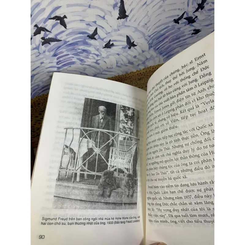 Sigmund Freud Nhà Phân Tâm Học Thiên Tài - Stephen Wilson 758686