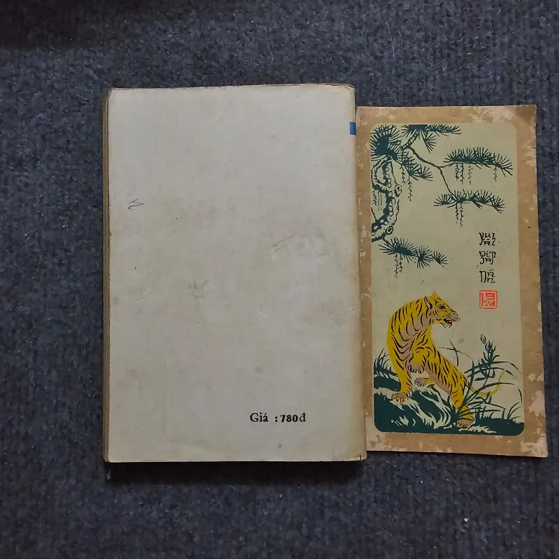 Vùng băng tuyết - kawabata 748545