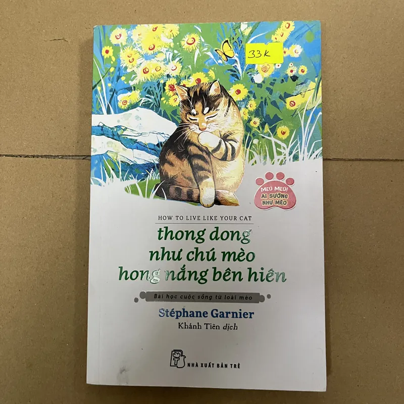 thong dong như chú mèo hóng nắng bên hiên  569514