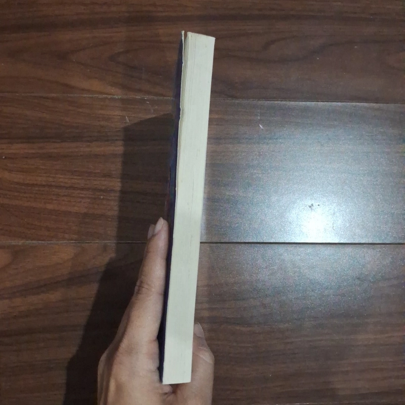 80 ngày vòng quanh thế giới 524085