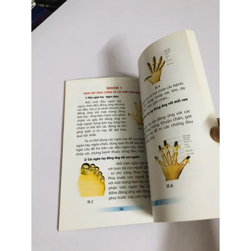 CHỮA BỆNH BẰNG ĐỒ HÌNH PHẢN CHIẾU & ĐỒNG ỨNG THEO PHƯƠNG PHÁP DIỆN CHẨN ĐIỀU KHIỂN LIỆU   604731