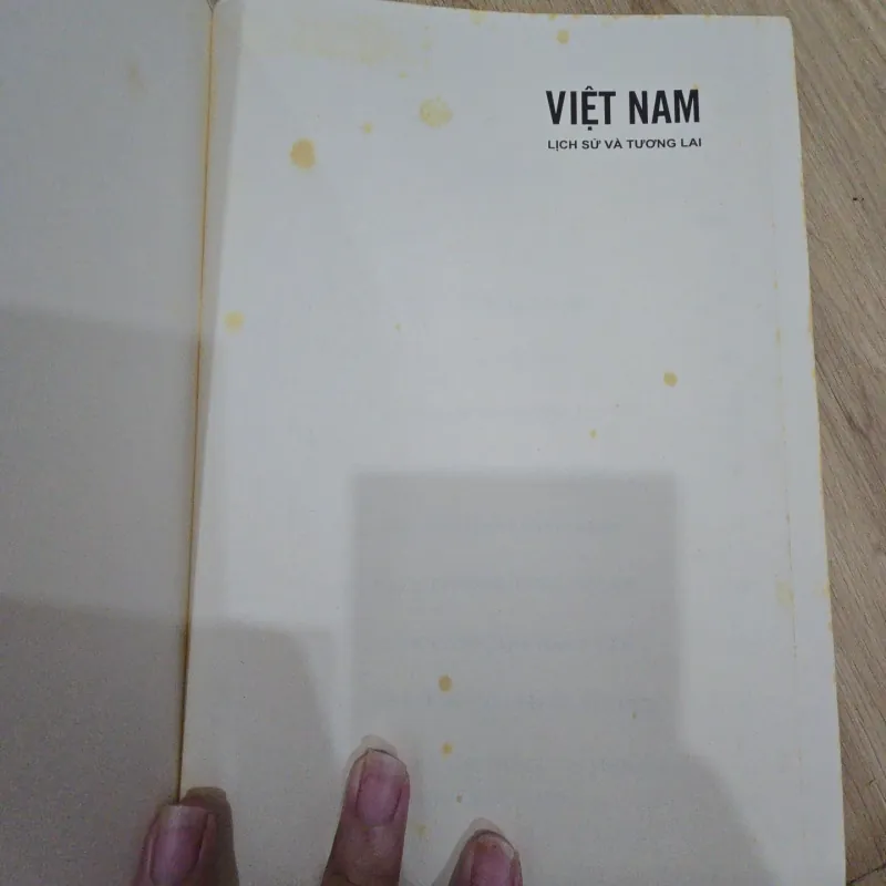 Việt Nam lịch sử và tương lai - Thượng tướng Nguyễn Văn Hưởng 1031511