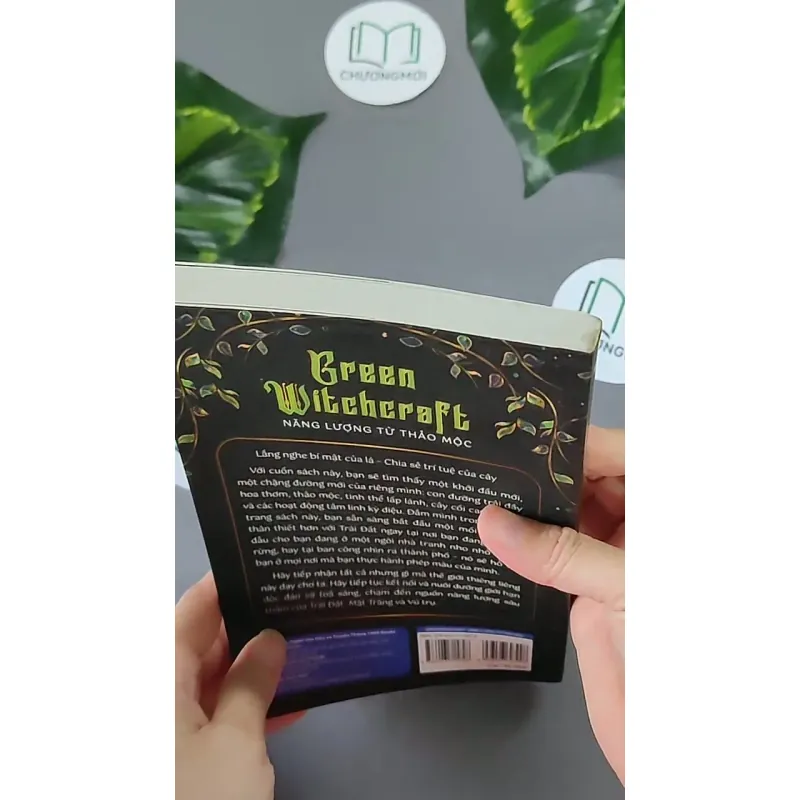 [MIỄN PHÍ BỌC SÁCH] Năng Lượng Từ Thảo Mộc - Paige Vanderbeck 604646