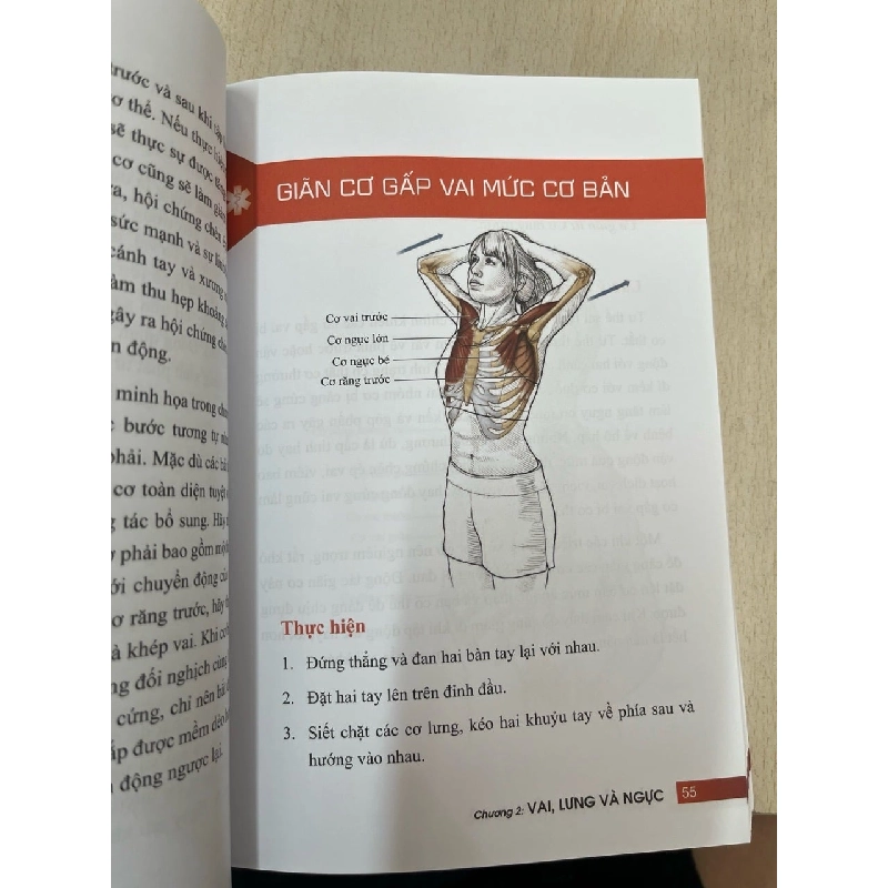 Giải phẩu học về giãn cơ, giãn cơ để tối ưu sức mạnh cơ bắp - Arnold G. Nelson, Jouko Kokkonen 752605