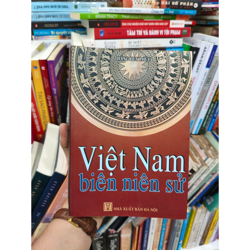 Việt Nam Biên niên sử 393013