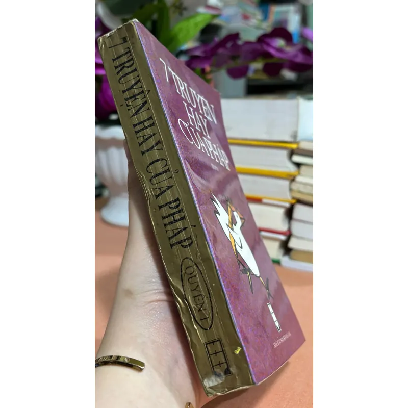 7 Truyêbh hay của Pháp 1 🌊 600581